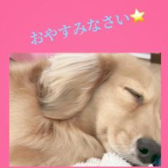 JaPON　新人！菜沙ﾅｽﾞﾅ