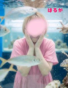 出勤しましたぁ?