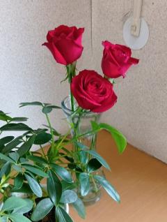ご主人様いらっしゃい 大分店　ｳﾒ♡三川・末広・ホーバー・方面のみ