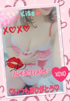 MICHELIN ミシュラン　サクラSakura