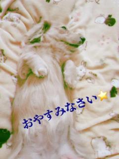 JaPON　新人！菜沙ﾅｽﾞﾅ