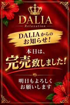 DALIA(ダリア)　DAHLIA