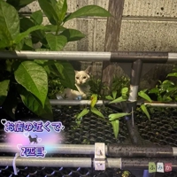 退勤します^ ^