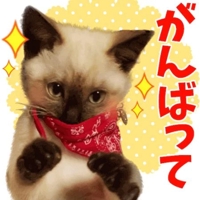 口コミお礼日記について
