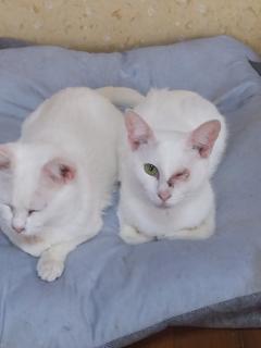 保険屋のおばちゃん まり おはようございます😊