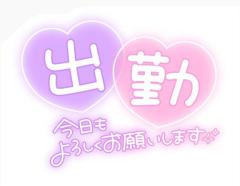 MANIN-ONREIマン淫御礼 柊花（とうか）美人妻 おはようございます??