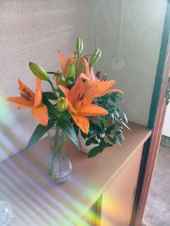 💞✨🌈夢で見た〰️✨🌈✨💞
うれしい(>ω<)事✨💞