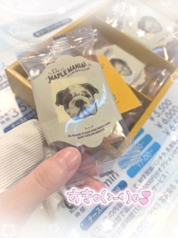 宮崎しこたまクリニック　かなで
