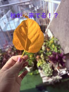 昭和（沖縄・完全個室プライベートエステ）　与那嶺綾子