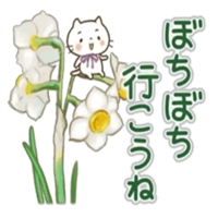 出勤しました