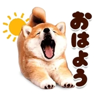出勤しました