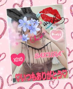 MICHELIN ミシュラン サクラSakura また土曜日にねッ☺️💕