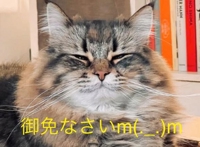 待ちナビ　ひろき
