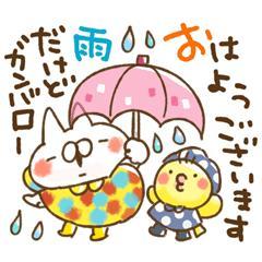 Madam  Cherish　のり香