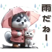 宮崎ちゃんこ都城店　
