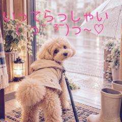 爆安＜元祖＞どすこい倶楽部　★体験もか★宮崎店
