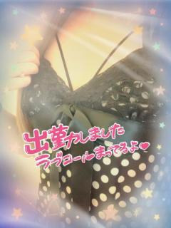 パールボディ　
