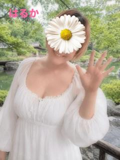 エンタメGR はるか 出勤しましたぁ?