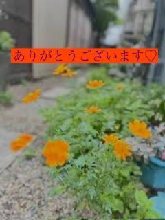 ミセス☆ルビー　ゆき♡妖艶淑女♡早めの予約必須