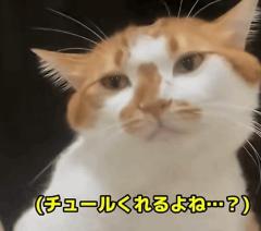 朝です?