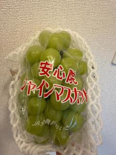 9/19お礼?