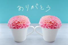 おかあさんといっしょ延岡店 ★れいこ★ リピ率☆No.1 今日もありがとう😊