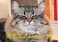 待ちナビ　ひろき
