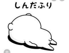。。。。。。