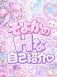 私のエッチなトリセツ