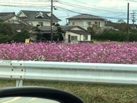 出勤してます