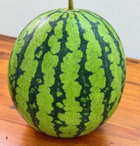 頂き物