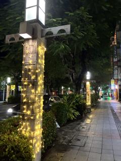  波照間音琴