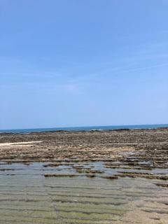 出勤してます