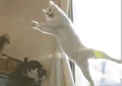 ポップン?