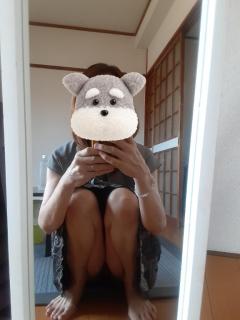 おはよう御座います????
