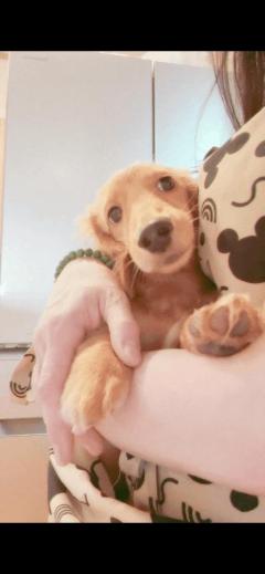 JaPON　新人！菜沙ﾅｽﾞﾅ