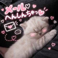 ?こっそり?