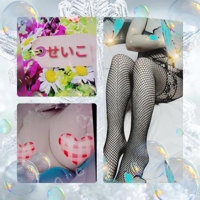 せいこ