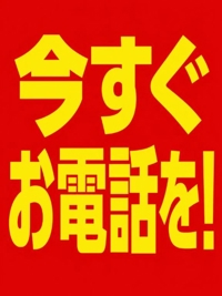 フリープラン