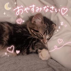 ?眠...zzZ?