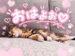 ?お昼組さん?