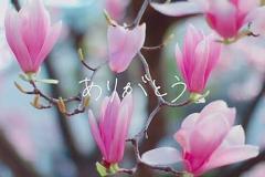 ありがとうございました???