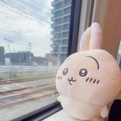電車?