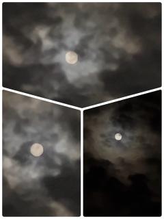 満月🌕