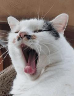 知ってたら?