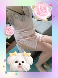 白うさぎ　