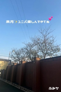 お礼日記