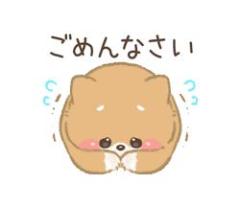 パールボディ　