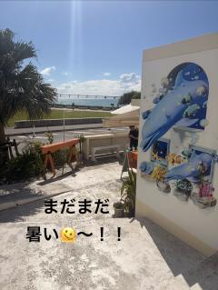 まだまだ暑い🫠