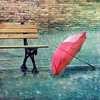 雨の日曜日